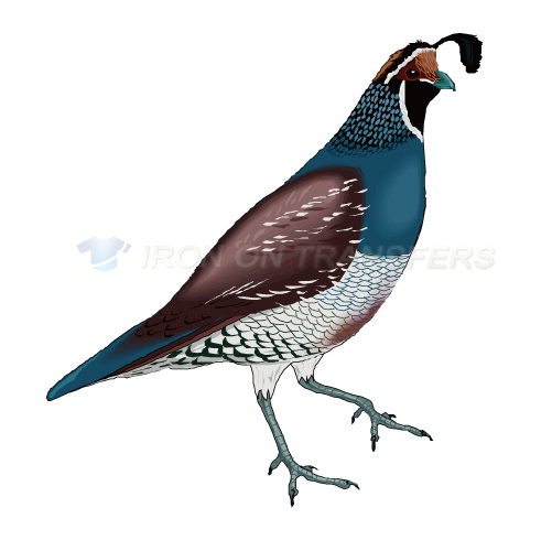 Birds Iron-on Stickers (Heat Transfers)NO.2135